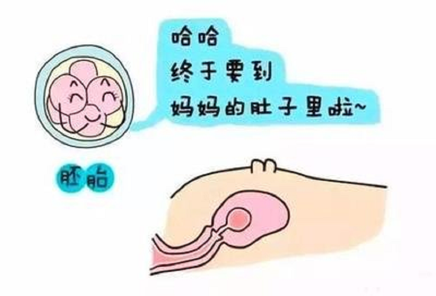 图片8.png