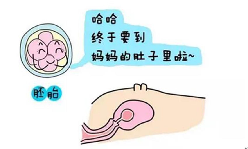 微信图片_20230418194713.png
