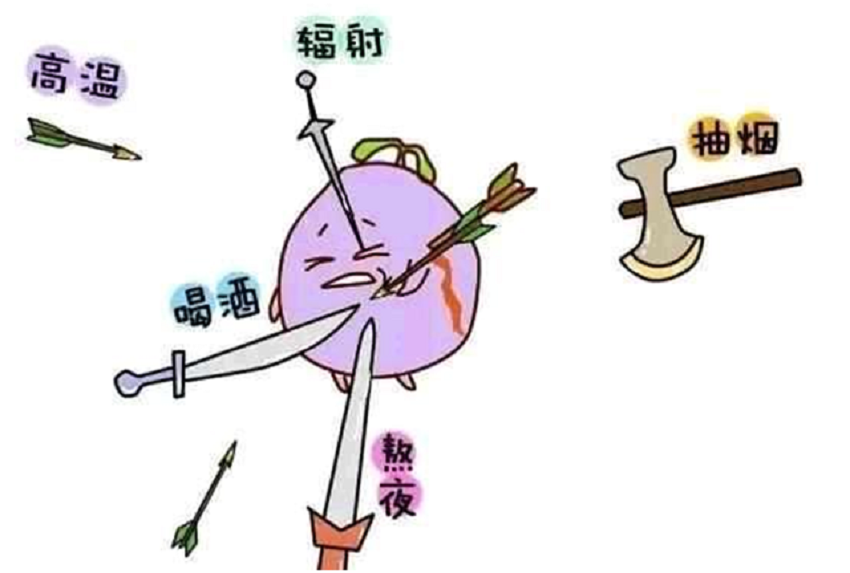 微信图片_20230511095410.png