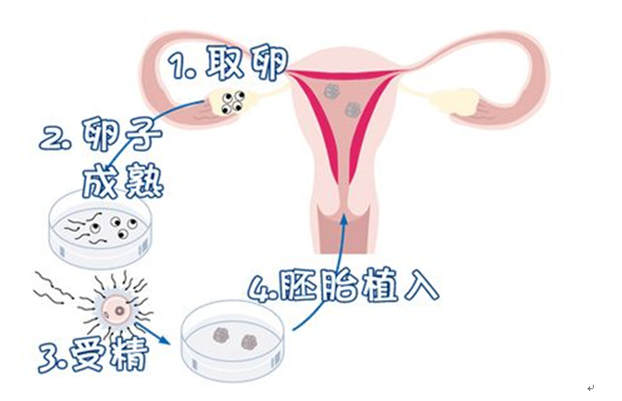 微信图片_20230512012100.png