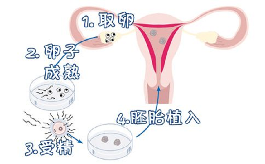 微信图片_20230713223133.png