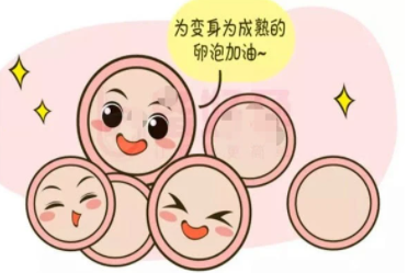 图片8.png